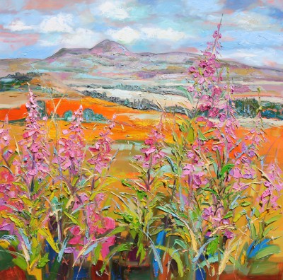 Rosebay Willowherb at Queens View