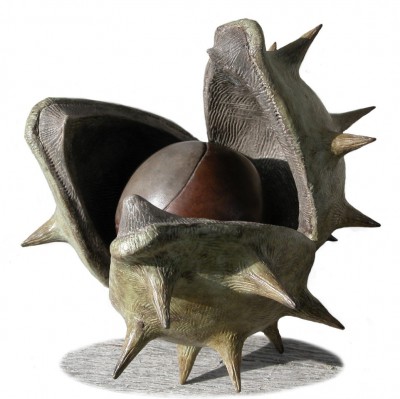 MARK HALL - pericarp (edition 1/19)