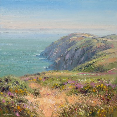 REX PRESTON - morning light, trentishoe downs, north devon