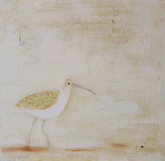 Curlew