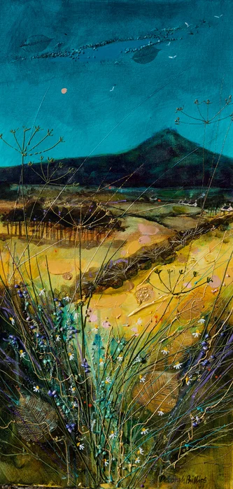 East Lomond Evening 
