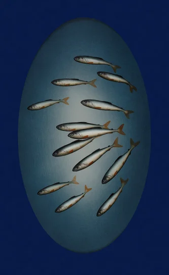 Blue Oval