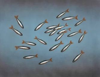 Murky Shoal