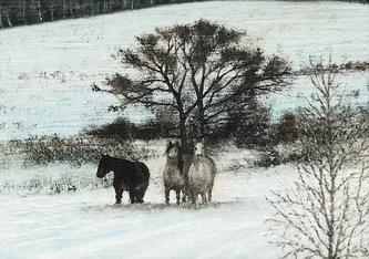 Scottish Artist DONALD PROVAN - Cold Shoulder