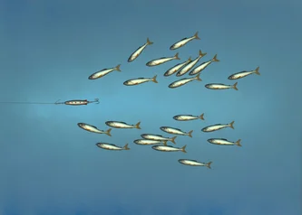 Scottish Artist DONALD PROVAN - Shoal Splitter
