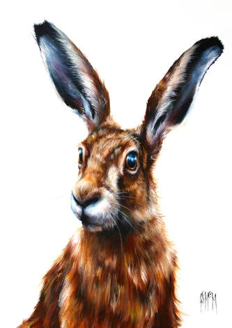 Herbert - Hare