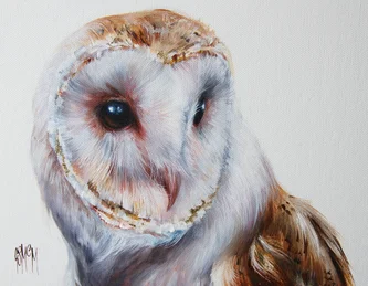Oriel - Barn Owl