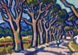 Tree Lined Road, Mallorca