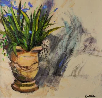 Agapanthus in a Pot