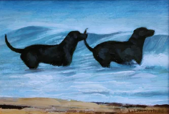 Beach Dogs