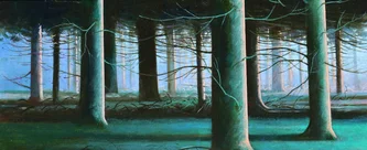 Night Woods