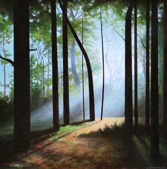 Sunlit Woods