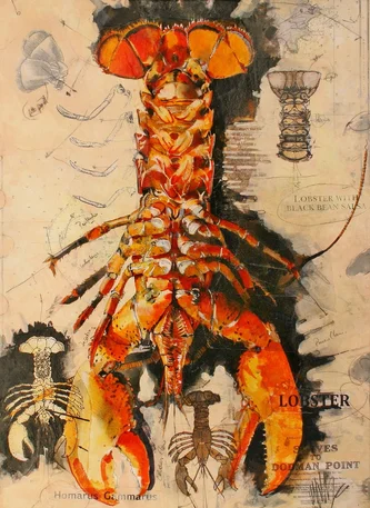 Lobster Sketch