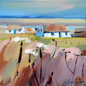 Thatched Bothies