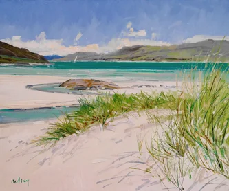 Beach Grass at Morar