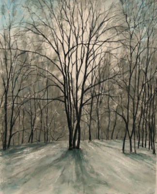 Scottish Artist Donald PROVAN - Winter Forest Light